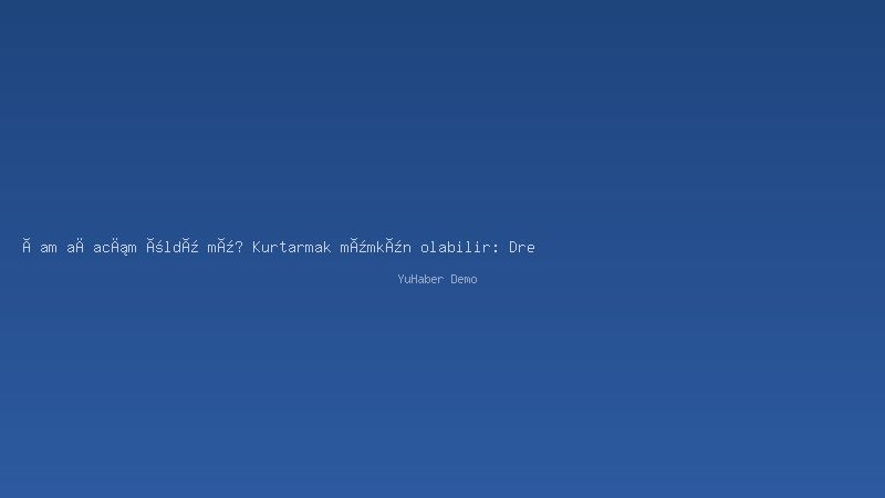 Çam ağacım öldü mü? Kurtarmak mümkün olabilir: Drenaj yaşatıyor